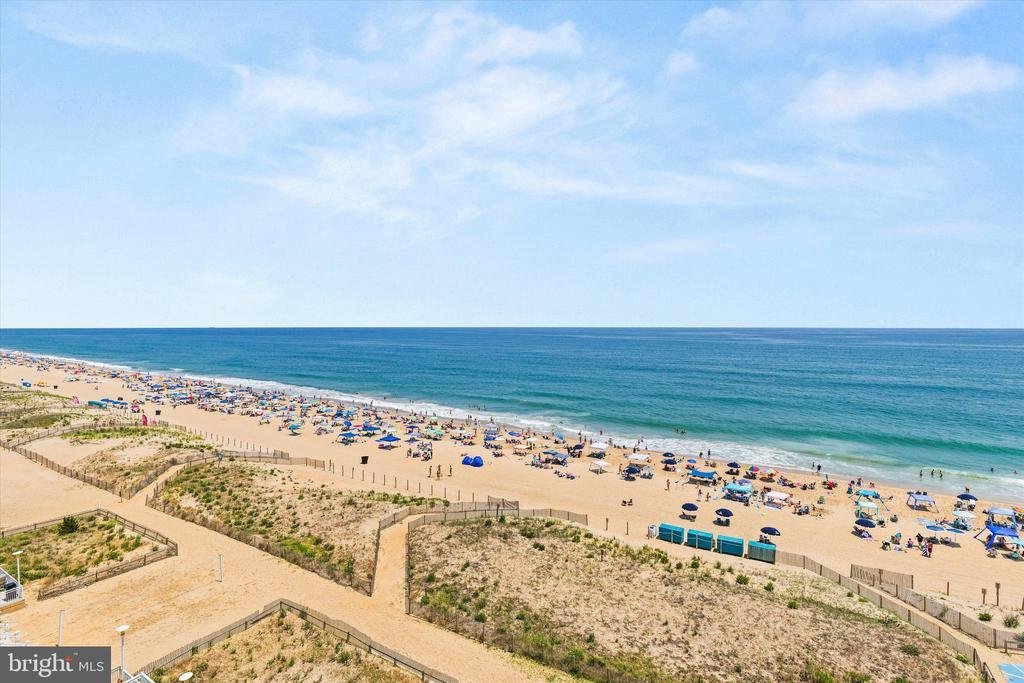 House in Ocean City, Maryland, United States 3 - 18349058