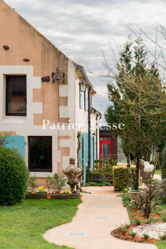Farm Ranch in Cosne Peripherie, Cosne-Cours-sur-Loire, France 2 - 18340556
