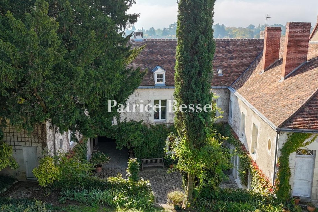 House in Preuilly-sur-Claise, Centre-Val de Loire, France 5 - 18341005