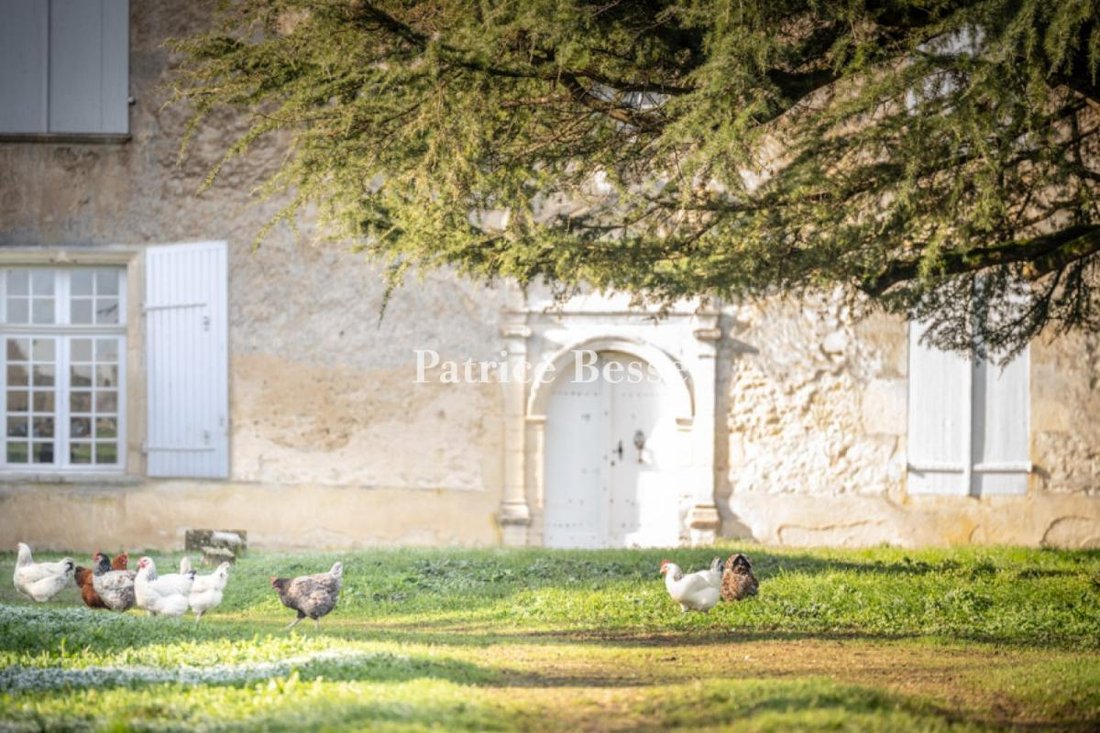 Maison à La Réole, Nouvelle-Aquitaine, France 3 - 15179959