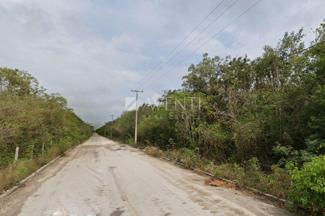 Land in Alfredo V. Bonfil, Quintana Roo, Mexico 2 - 18337193