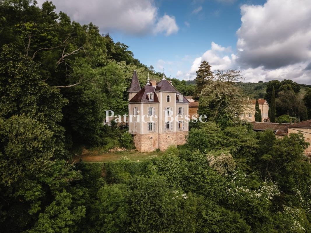 Castle in Montmelas-Saint-Sorlin, Auvergne-Rhône-Alpes, France 1 - 18340422