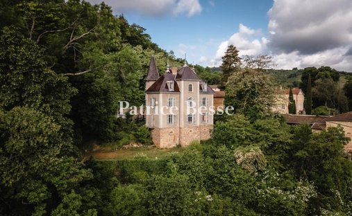 Castle in Montmelas-Saint-Sorlin, Auvergne-Rhône-Alpes, France 1