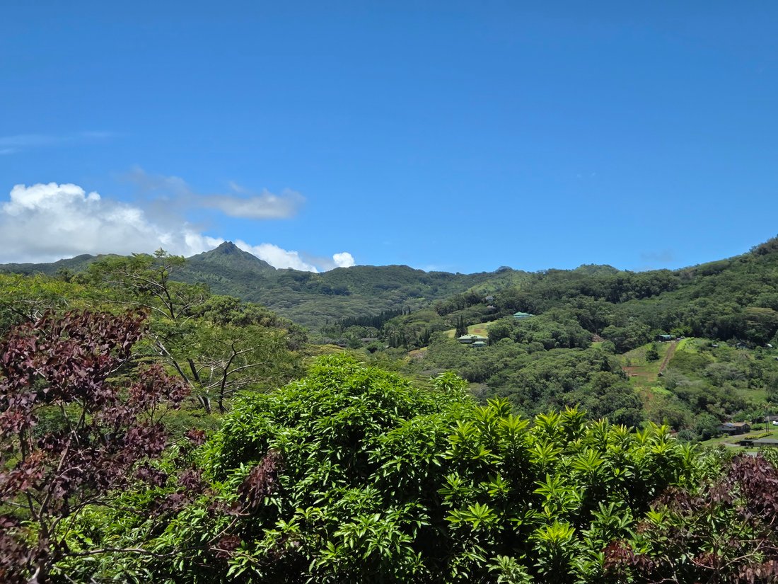 House in Kalaheo, Hawaii, United States 4 - 17680137