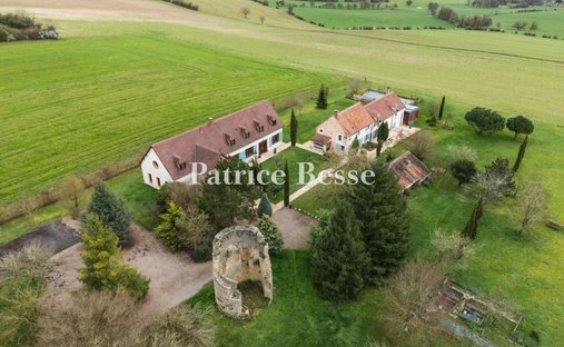 Farm Ranch in Cosne Peripherie, Cosne-Cours-sur-Loire, France 1