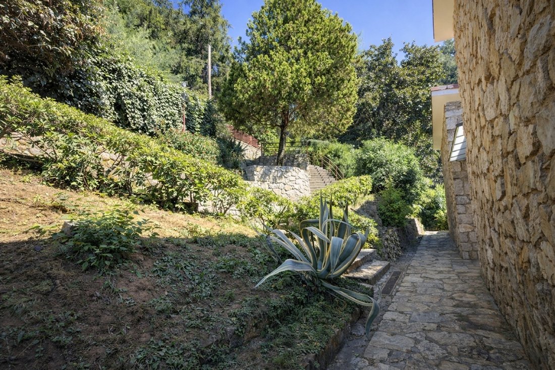 Villa in Capezzano Pianore, Camaiore, Tuscany 4 - 18336998