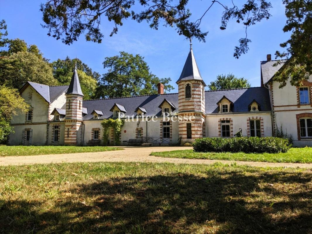 Castle in Segre, Segre-en-Anjou Bleu, France 1 - 13602114