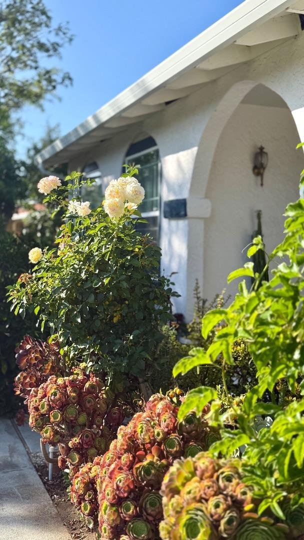 House in Saratoga, California, United States 3 - 18335154