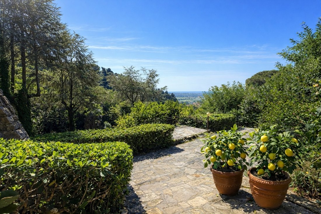 Villa in Capezzano Pianore, Camaiore, Tuscany 5 - 18336998