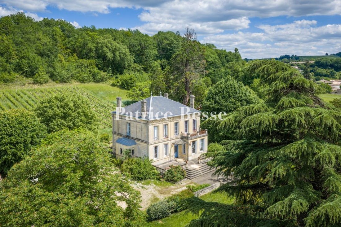 Château à Lestiac-sur-Garonne, Nouvelle-Aquitaine, France 2 - 18341167