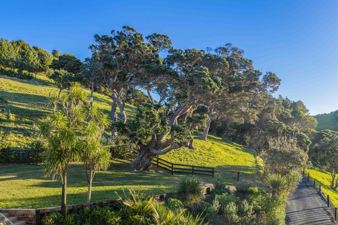 House in Tutukaka, Northland, New Zealand 5 - 18348727