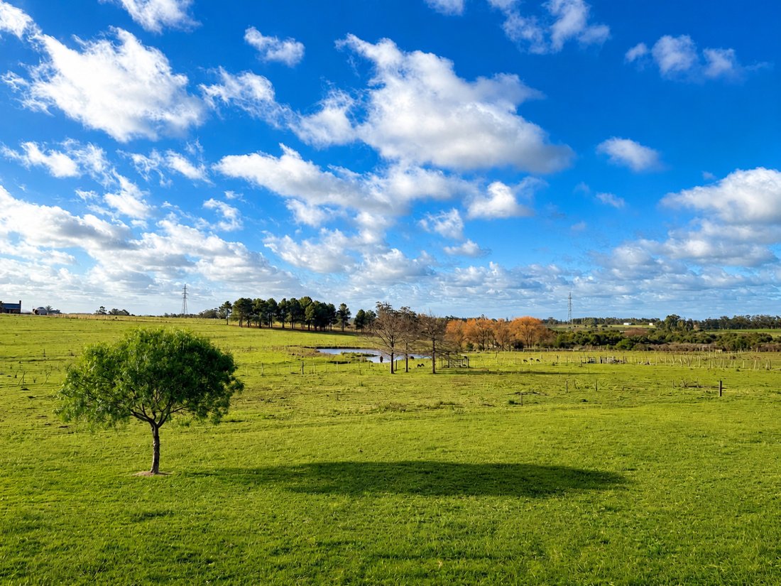 Country House in Maldonado, Maldonado Department, Uruguay 3 - 18343765