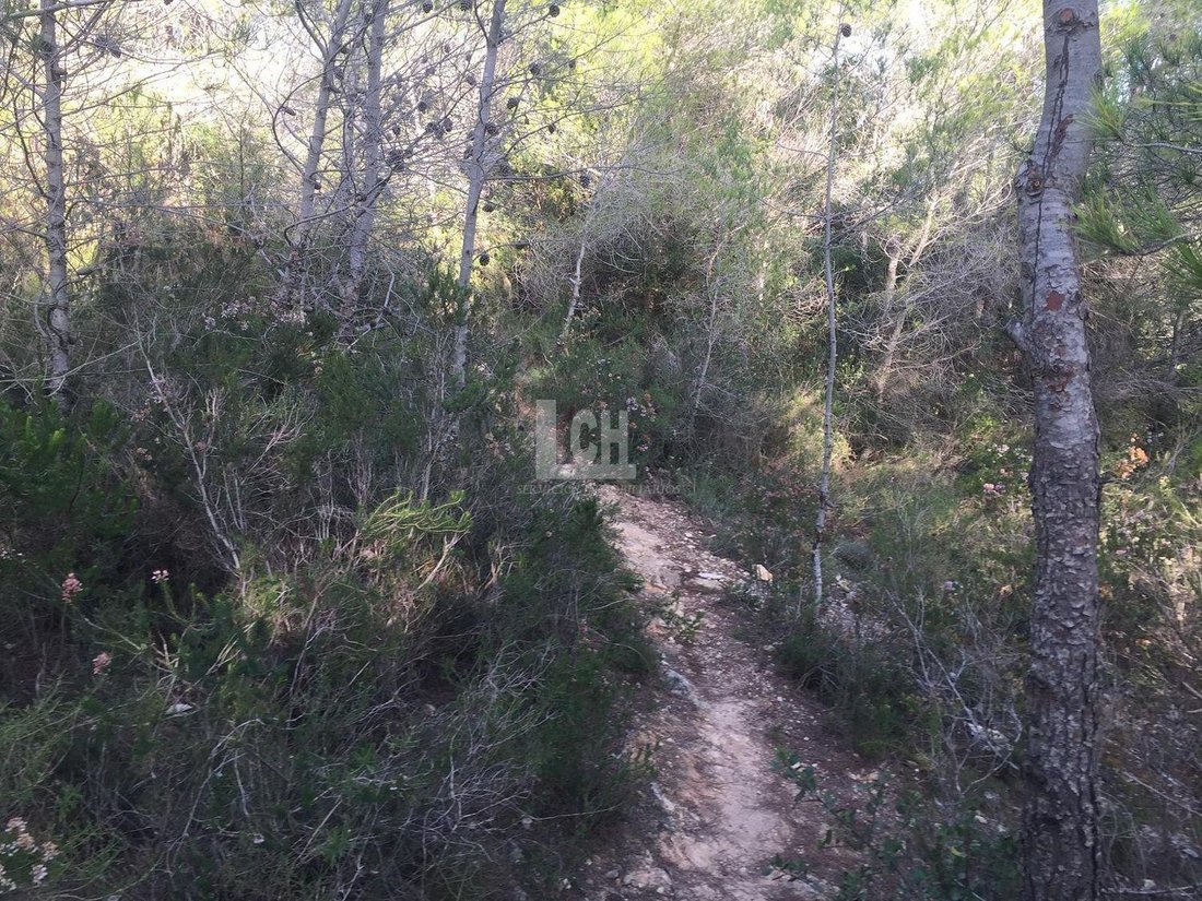 Land in Favara, Valencian Community, Spain 3 - 13769127
