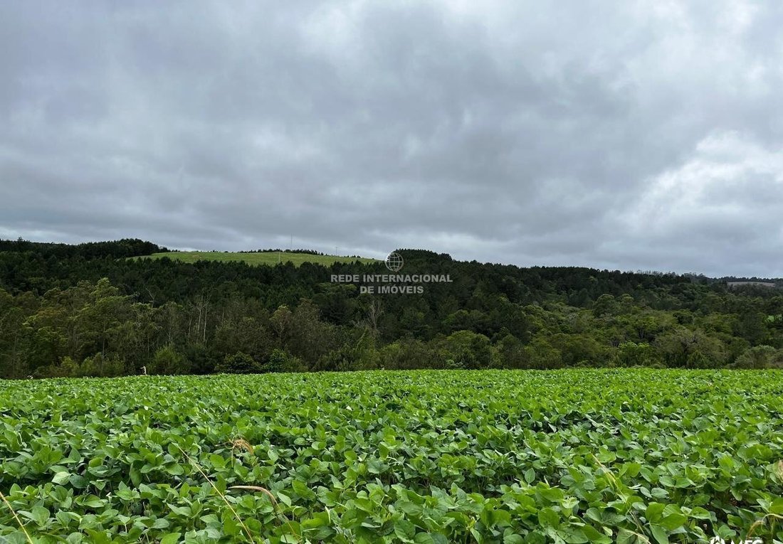 Farm Ranch in Capão Bonito, State of São Paulo, Brazil 4 - 18349804