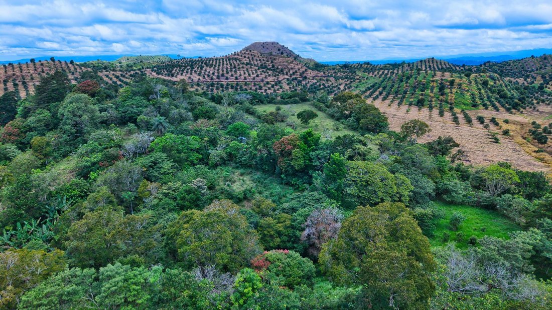 Finca in Volcán, Chiriquí Province, Panama 1 - 18346551