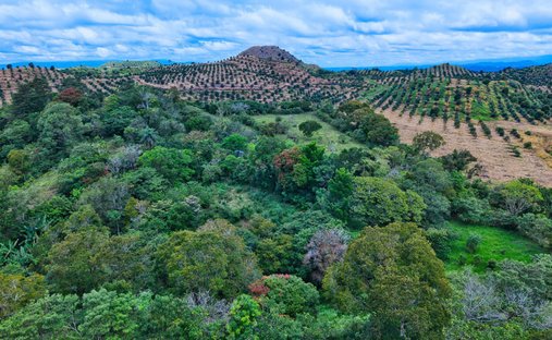 Finca en Volcán, Provincia de Chiriquí, Panamá 1