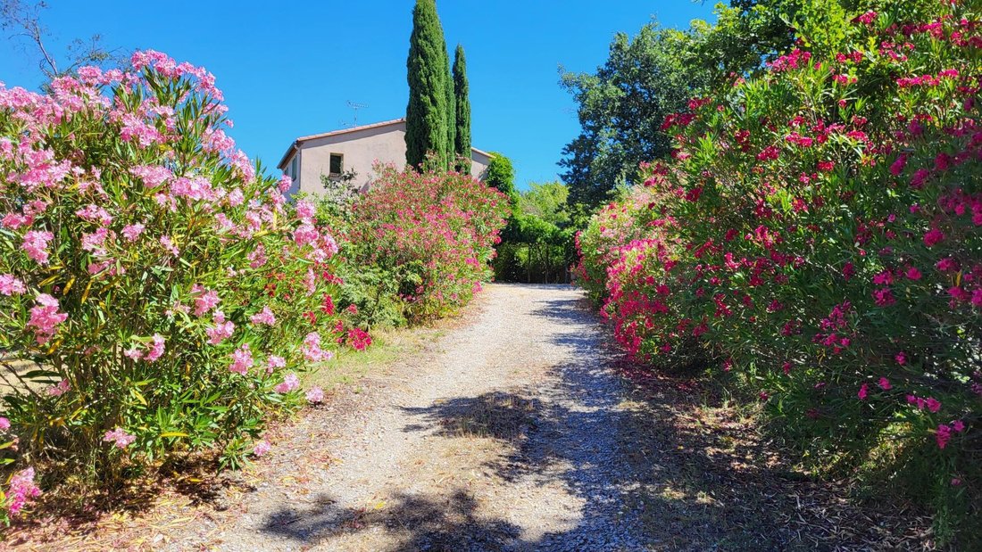 House in Ceret, Occitania, France 5 - 18035669