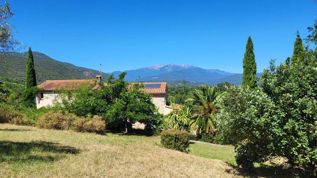 House in Ceret, Occitania, France 4 - 18035669