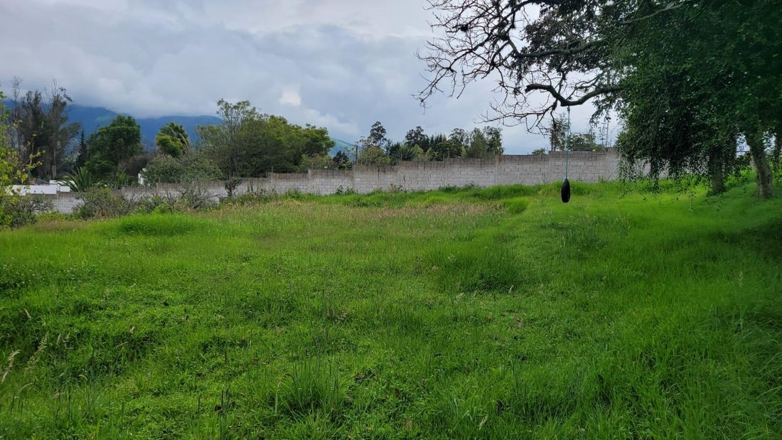 Land in Quito, Pichincha, Ecuador 5 - 18349387