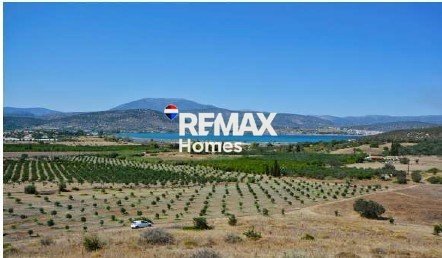 Land in Ermioni, Peloponnese, Western Greece and the Ionian, Griechenland 4 - 18347069