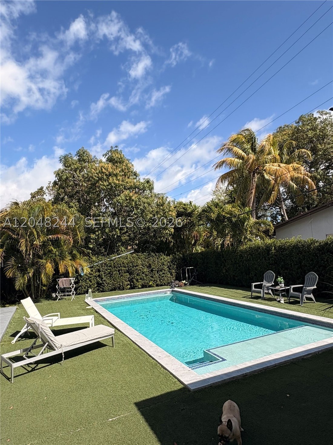 House in Miami, Florida, United States 1 - 18349761