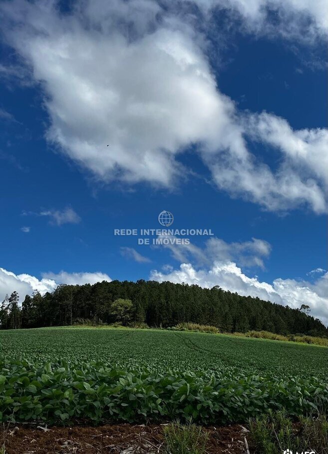 Farm Ranch in Capão Bonito, State of São Paulo, Brazil 5 - 18349804
