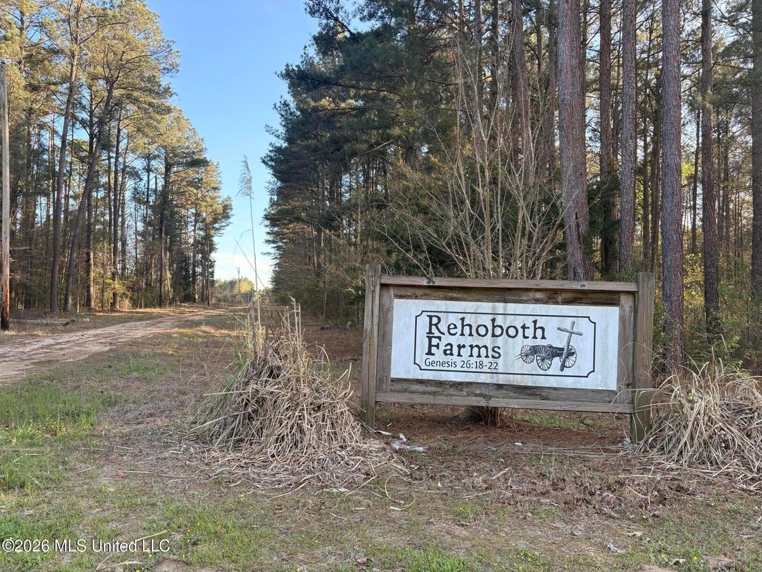 House in Pelahatchie, Mississippi, United States 5 - 18346318