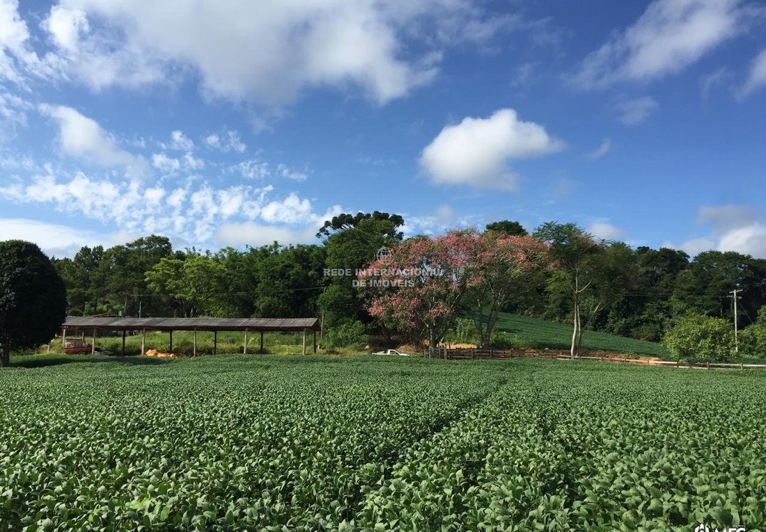 Farm Ranch in Capão Bonito, State of São Paulo, Brazil 1 - 18349804