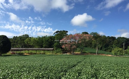 Farm Ranch in Capão Bonito, State of São Paulo, Brazil 1