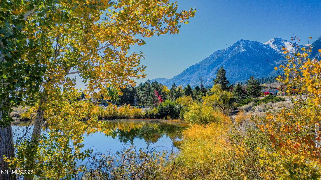 House in Gardnerville, Nevada, United States 3 - 18346317