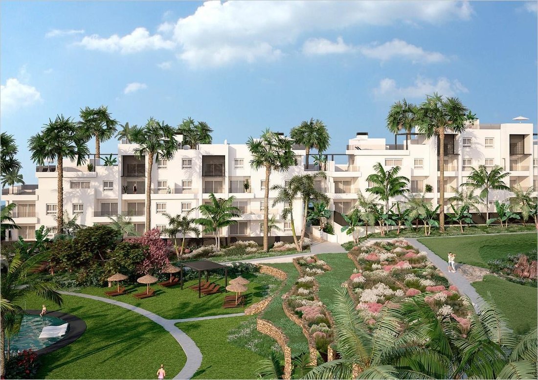 Apartment in Torrevieja, Valencian Community, Spain 1 - 14427243