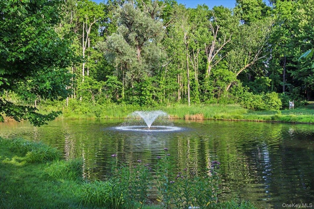 Condo in Rhinebeck, New York, United States 4 - 18193000