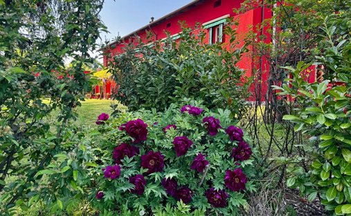 Villa in Nizza Monferrato, Piedmont, Italy 1