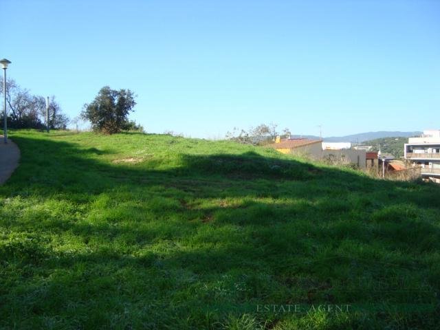 Land in Palamos, Catalonia, Spain 1 - 13111302