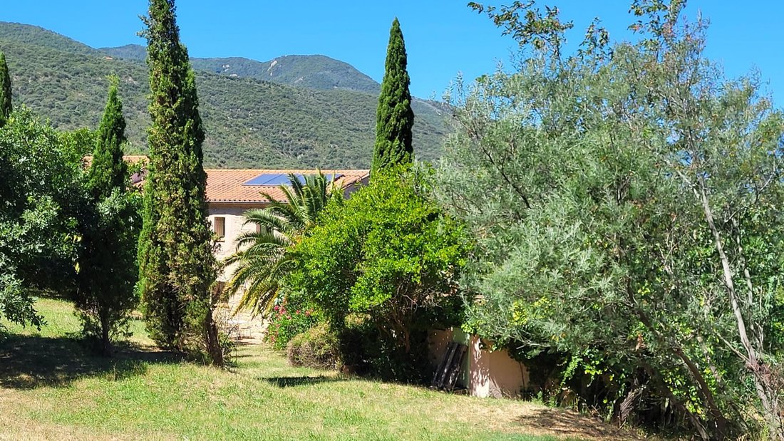 House in Ceret, Occitania, France 3 - 18035669