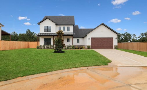 Haus in Montgomery, Texas, Vereinigte Staaten 1