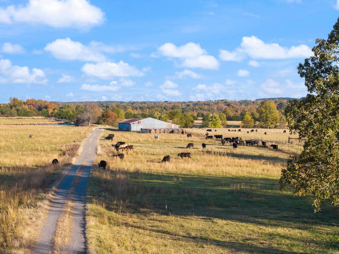 Land in Guy, Arkansas, United States 5 - 18340775