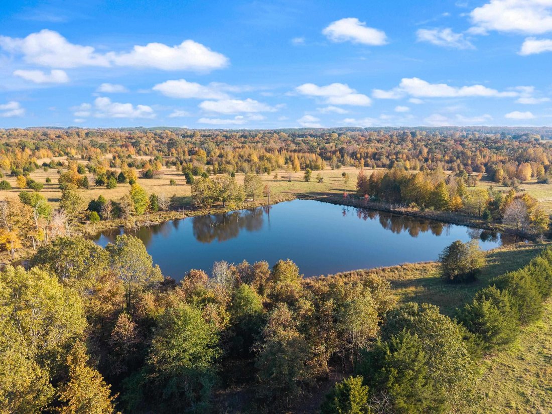 Land in Guy, Arkansas, United States 4 - 18340775