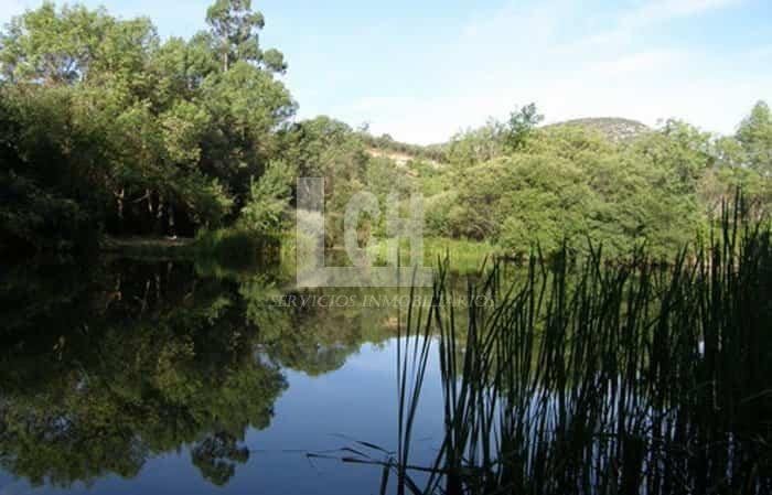Finca in El Carpio de Tajo, Castile-La Mancha, Spain 4 - 14888177