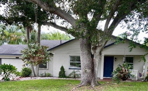 House in Safety Harbor, Florida, United States 1
