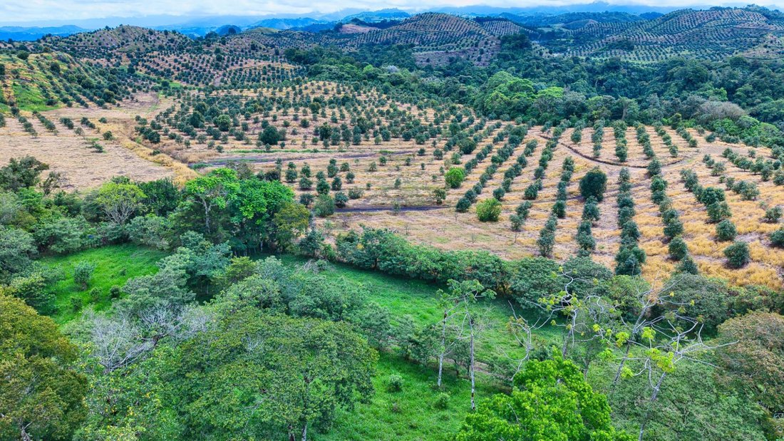 Finca in Volcán, Chiriquí Province, Panama 5 - 18346551