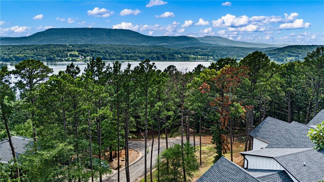 House in Dardanelle, Arkansas, United States 2 - 18349095