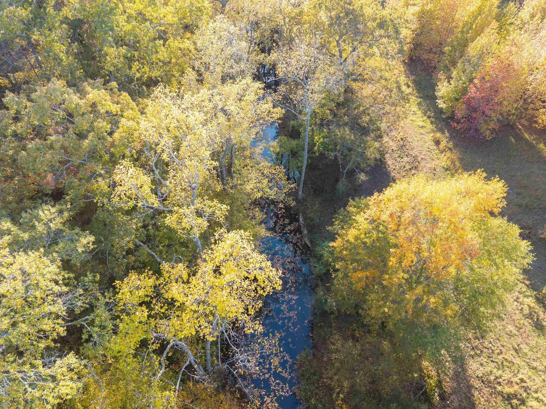 Land in Guy, Arkansas, United States 2 - 18340775