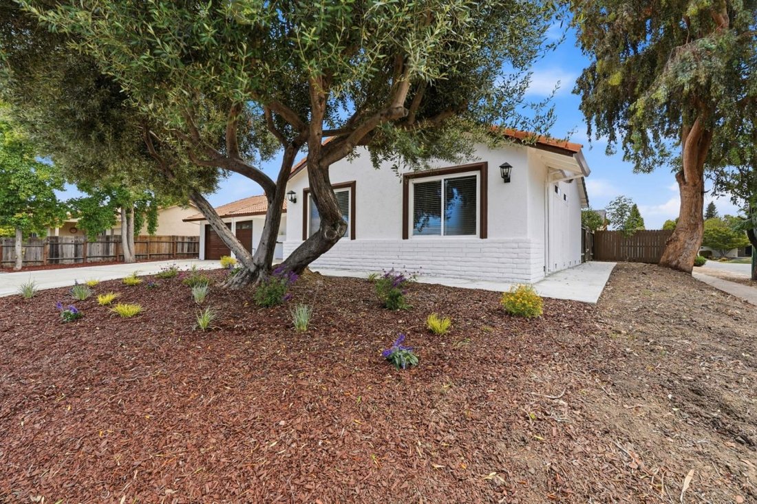 House in San Jose, California, United States 4 - 18347098