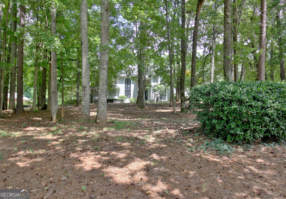 House in Jonesboro, Georgia, United States 3 - 18343888