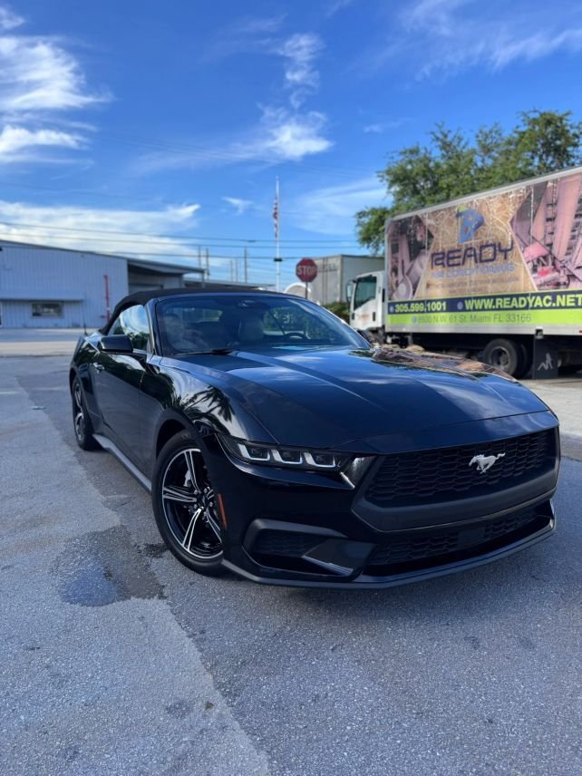 Cabriolet in Miami, FL, United States 1 - 18349885