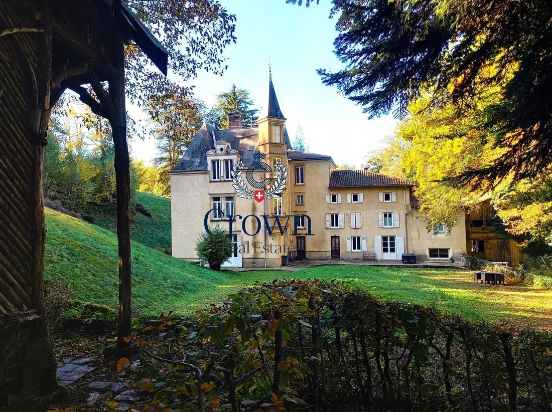 Castle in Berriat-Ampere, Grenoble, France 3 - 18346726
