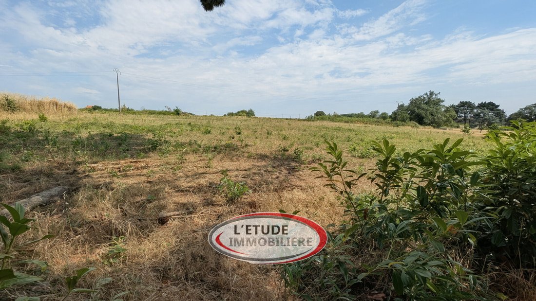 House in Le Pallet, Pays de la Loire, France 4 - 18343079