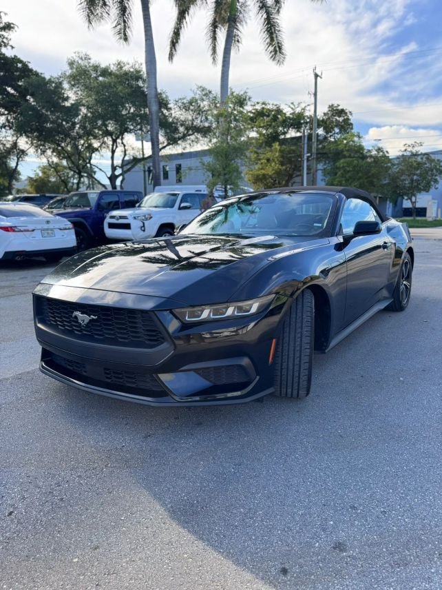 Cabriolet in Miami, FL, United States 3 - 18349885