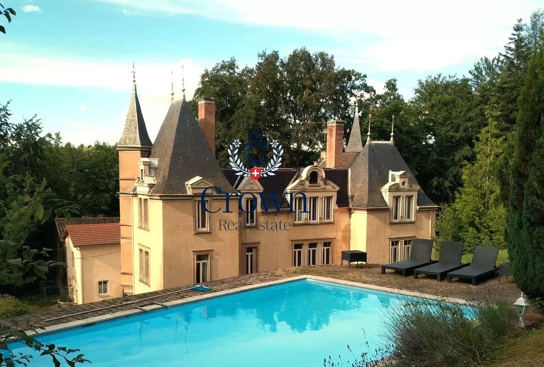 Castle in Berriat-Ampere, Grenoble, France 2 - 18346726